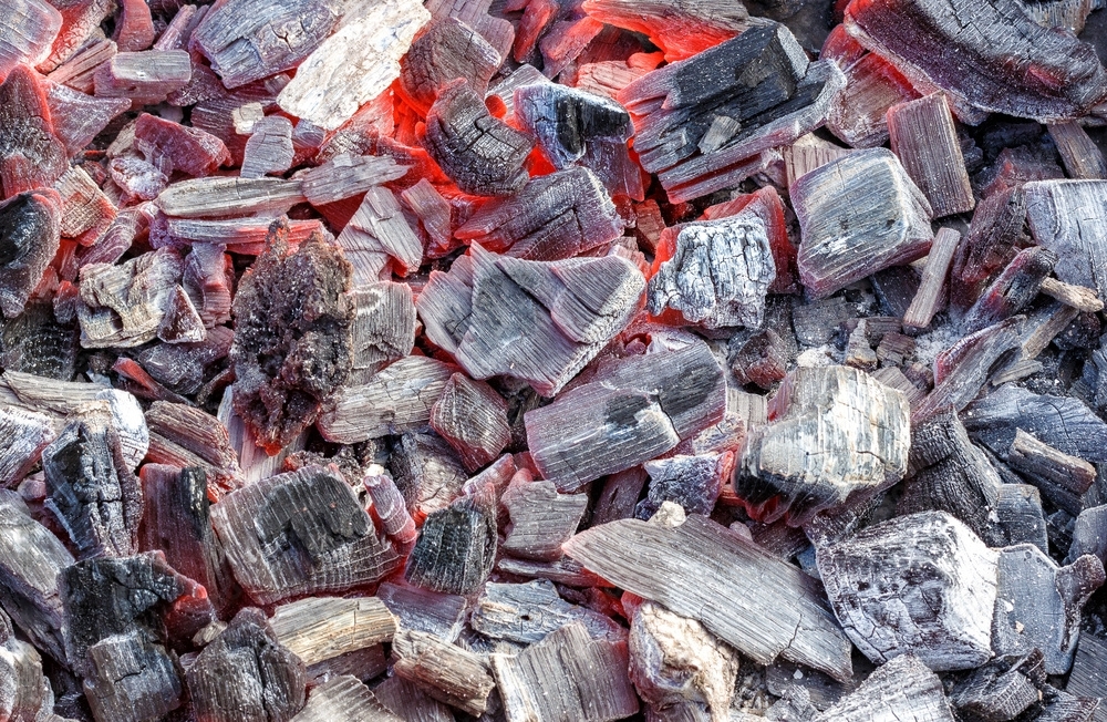 charbon pour barbecue en morceaux
